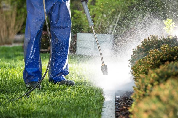 Curb Cleaning in Kihei