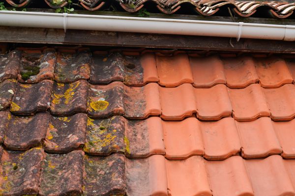 Cost of Industrial Roof Cleaning in Kihei